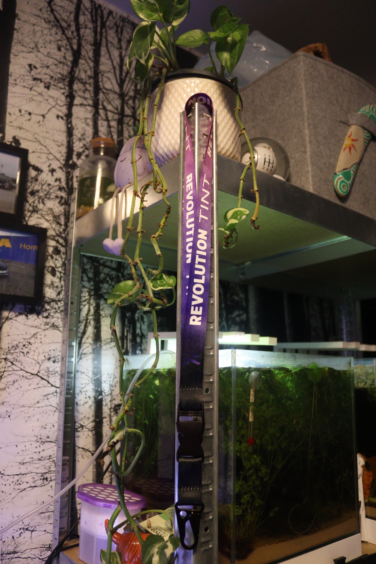 Revolution Tint Merch (accessories)